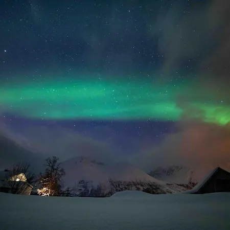 Feriehus Mountainside - Breivikeidet