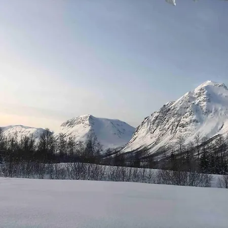 Mountainside - Breivikeidet Feriehus *