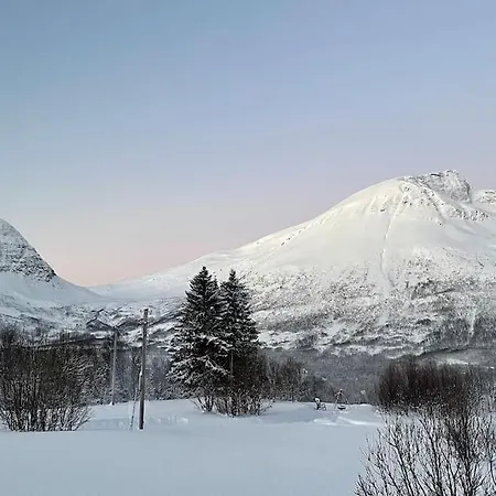 Mountainside - Breivikeidet Ferienhaus *