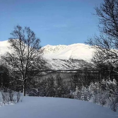 Mountainside - Breivikeidet * Tromsø
