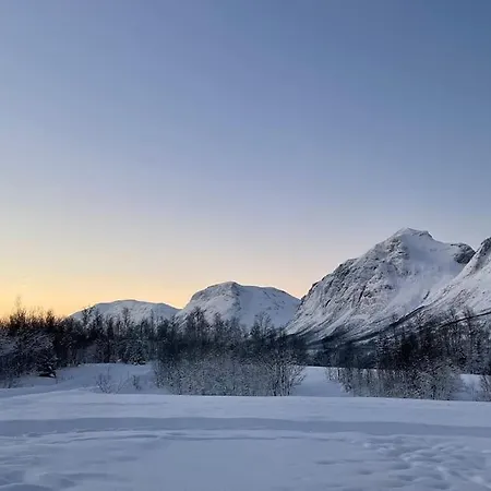 Mountainside - Breivikeidet *