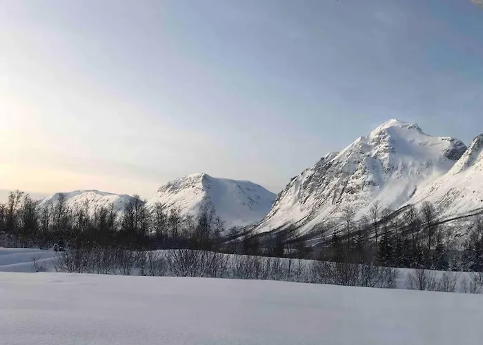 Mountainside - Breivikeidet Hébergement de vacances *