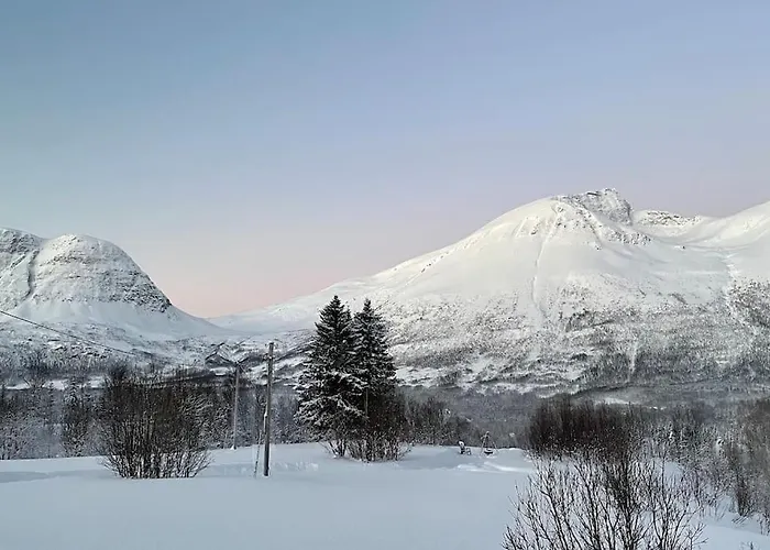 Mountainside - Breivikeidet Hébergement de vacances *