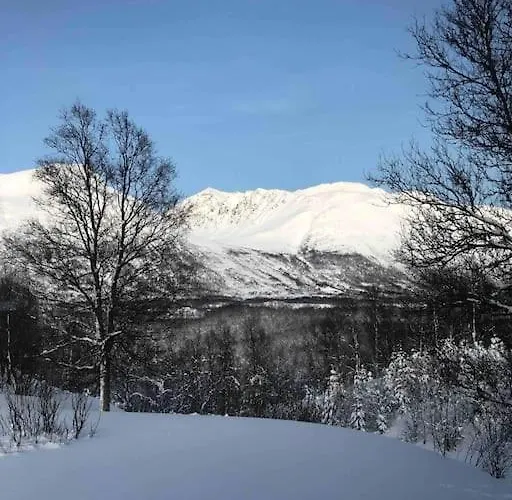Mountainside - Breivikeidet * Tromsø